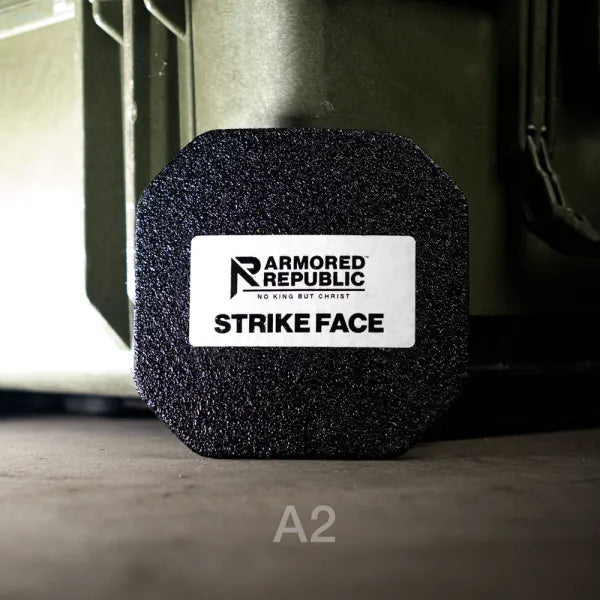 Hard Side Plates x2