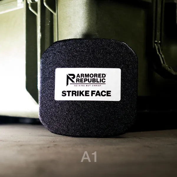 Hard Side Plates x2